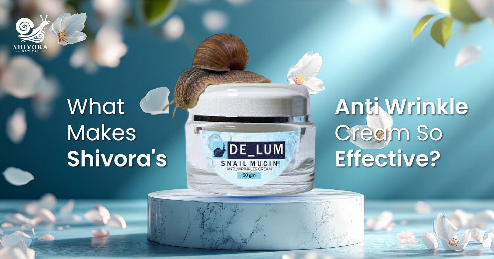 Best Anti-Wrinkle Cream in Pakistan 2025 – Shivora Naturals