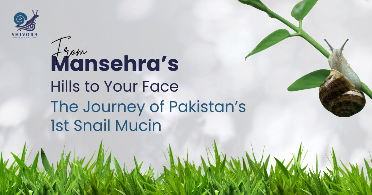 From Mansehra’s Hills to Your Face: The Journey of Pakistan’s 1st Snail Mucin
