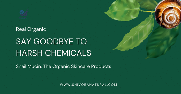 Organic Skincare Products 