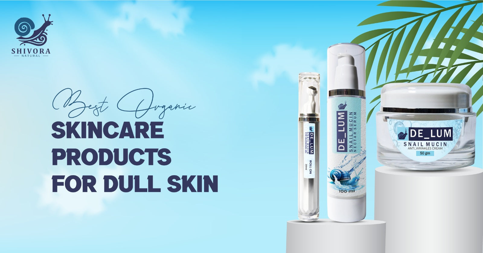 Best Organic Skincare Products for Dull Skin